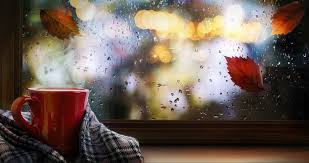 Fresh weather warnings as weekend storm rolls in: Thunderstorm alert issued
