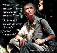 Jane Goodall on Pinterest | Animal Welfare, British and Conservation via Relatably.com