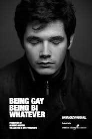 Being Gay Being Bi Whatever Von IAN BRADLEY MARSHALL: Poetry ...