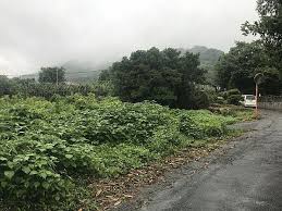 Image result for 岡町谷川