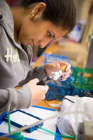 Mariel Higareda, a biology student at High Tech High School, practices anesthetizing fruit flies with CO2 in preparation for a study on genetic heart ... - high-tech-high-3