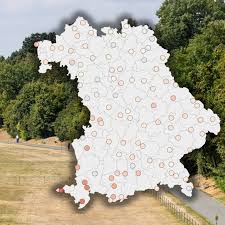 Trend Google: wetter