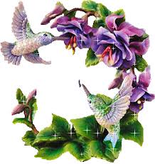 Résultat de recherche d'images pour "images animées gratuites"