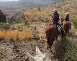 Image of Big Bend National Park horseback riding