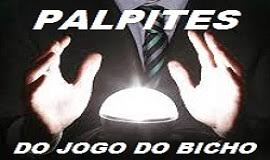 Palpite dia 04/11/2023 - JOGO DO BICHO TODAS AS LOTERIAS 