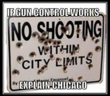 Image result for gun control doesn't work