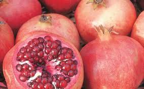 Deltamethrin in agriculture ile ilgili görsel sonucu