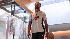 ¡Gakpo Renueva con Liverpool! ¿Por qué Firmó Contrato a Largo Plazo? - Imagen principal del artículo
