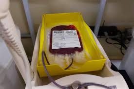 Novos critérios para doação de sangue passam a valer em Caxias a partir desta quinta-feira