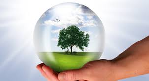 Image result for Environment