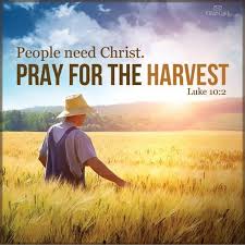 Image result for images of the harvest field