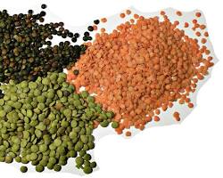 Lentils