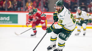 Nio spelare lämnar Björklöven