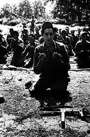  الذكري 59 لثورة الجزائرية 1نوفمبر 1954( بداية النهاية ) Images?q=tbn:ANd9GcSFAIQphH3ug3nVZeLfkGVXW1i_umHEaQRawy19mLe1WxAu9R7i