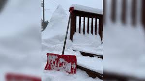 News source: CityNews Kitchener