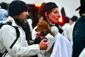 Activists Rescue 22 Beagles From Ridglan Farms Animal Testing Breeding Facility