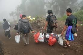 Hasil gambar untuk pecinta alam indonesia