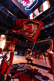 Gamecocks Host No. 18/20 Georgia in SEC Matchup