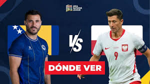 Bosnia Y Herzegovina - Polonia