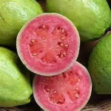 Image result for guava smasher