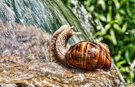 Image result for ‫ عکس های جالب از طبیعت‬‎