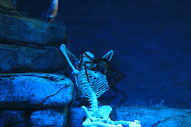 「あのプール」の画像検索結果