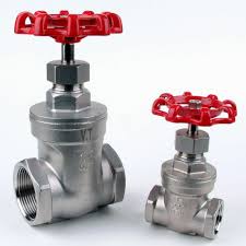 Stainless Steel Gate Valve Threaded BSP | Delta Stainless Ltd
