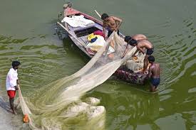 Group of 345 Indian fishermen reach Chennai after evacuation from Iran via Armenia