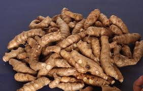 Image result for manjal leaves