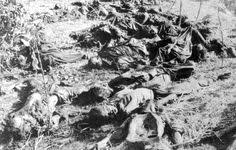 Image result for cambodia history killing fields