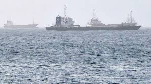 Oil tanker explodes after hitting naval mine in Strait of Hormuz, IRGC-linked media claims - report