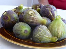 Resultado de imagem para patlican incir