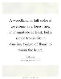 Woodland Quotes | Woodland Sayings | Woodland Picture Quotes via Relatably.com