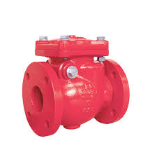 Fire Protection Flanged Check Valve 4" - ARGCO.COM