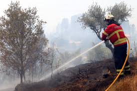 270 bombeiros vão permanecer no terreno em Penedono durante o dia de hoje