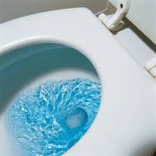 toilet bowls cleaning powder ile ilgili görsel sonucu