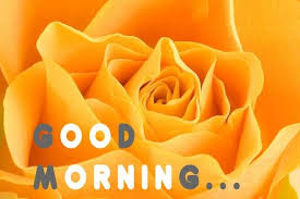 Image result for good morning