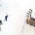 Oregon standoff suspects denied bond