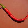 Imagen de la noticia para "nuevo estudio" "comida picante" conclusiones de Noticias de la Ciencia y la Tecnología