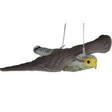 Resultado de imagem para bird scarer from china