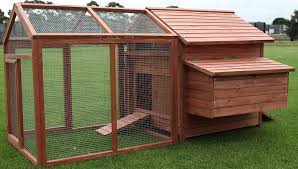 Image result for chicken cage