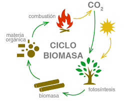 Resultado de imagen para LA BIOMASA