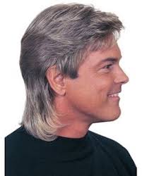 Image result for male wigs
