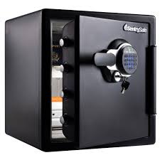 Safes for Secure Storage Solutions | Lowe's