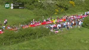 Trend Google: evenepoel