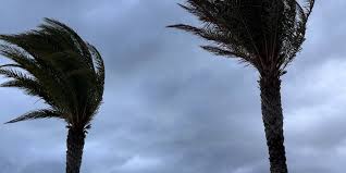 Gulf Tropical Threat vs. Saharan Dust: What's Winning the Battle for Florida's Weekend?