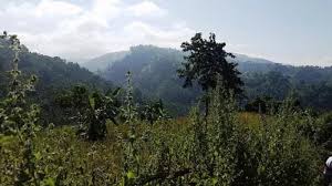 Eid holidays: Tourist flow rises at Khagrachhari attractions