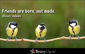 Henry Adams Quotes - BrainyQuote via Relatably.com
