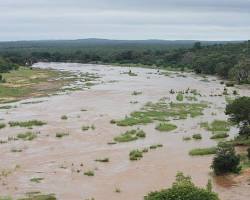 Image of Olifants River, Gauteng