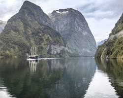 Hình ảnh về Rainforest in Doubtful Sound New Zealand